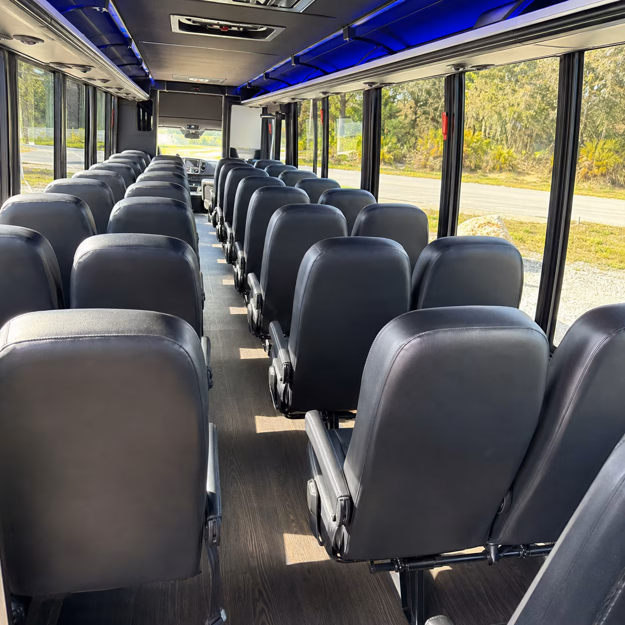 arrange transportation for your next birthday 5