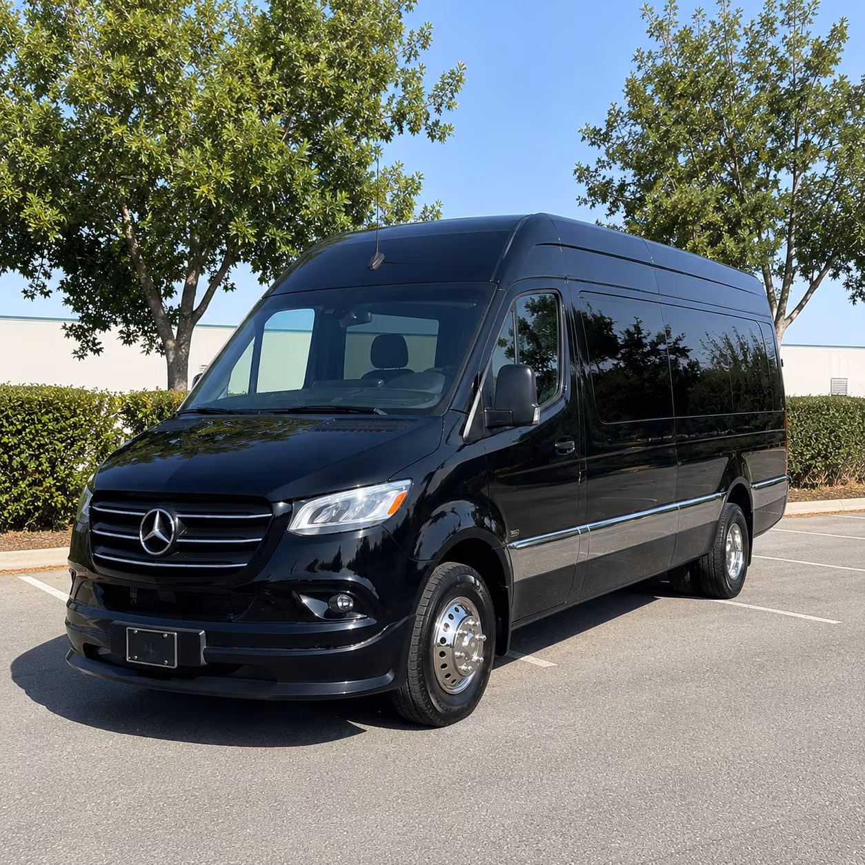 salinas sprinter van with driver